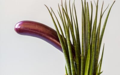 Le Sexe Anal : Conseils et Produits pour une Expérience Épanouie