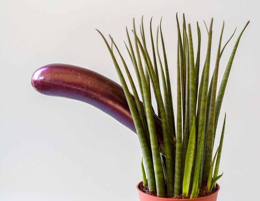Le Sexe Anal : Conseils et Produits pour une Expérience Épanouie